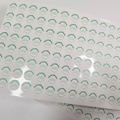 A placa imprimiu o papel esparadrapo da etiqueta da casca de ovo das anti etiquetas da moeda falsa