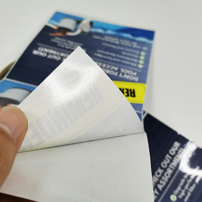 Etiquetas CMYK de Matte Waterproof Custom Die Cut que imprimem o vinil esparadrapo removível